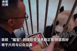 记者：德尔加多近期训练状态不错，新赛季首轮能否登场是看点